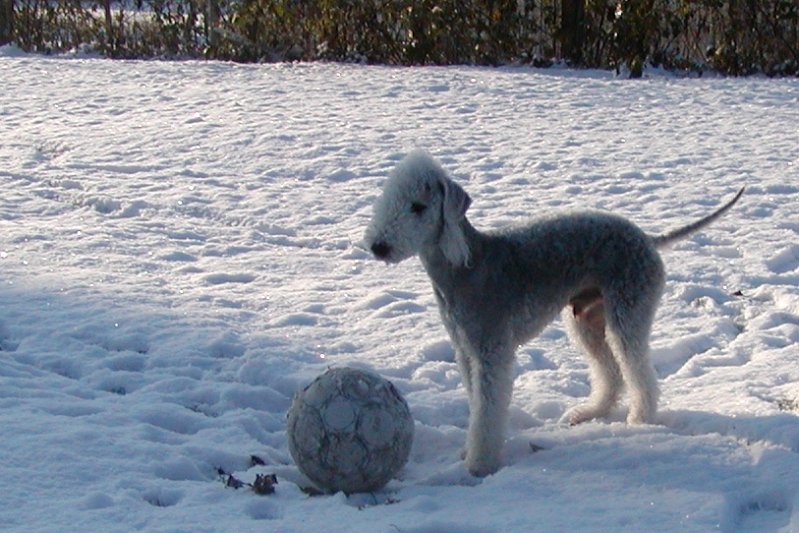 2009-12-19 Quincy (2).JPG